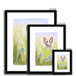 Rabbit in the meadow flowers. Nursery art prints with black frame and a white mount. Different sizes