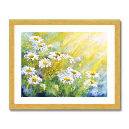 White daisy flowers illuminated by the sunshine artwork. Fine art print with white border in a in gold frame