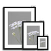 White and grey floral art prints in black frame with white mount. Different sizes