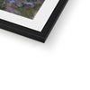 Crazy Daisies artwork print in black frame with white mount. Close up of bottom corner and frame.