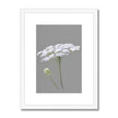 White and grey floral art print in white frame with white mount