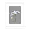 White and grey floral art print in white frame with white mount