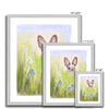 Cute Rabbit and meadow flowers. Art prints in silver frame. Different sizes