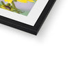 Yellow Daisy - Framed & Mounted Print