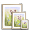 Rabbit and flowers painting. Fine art prints in a natural light wooden frame. Different sizes