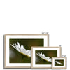 Single white daisy flower fine art prints with natural light wooden frame and white mount. Landscape orientation. Different sizes.