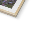 Crazy Daisies artwork print in natural frame with white mount. Close up of bottom corner and frame.