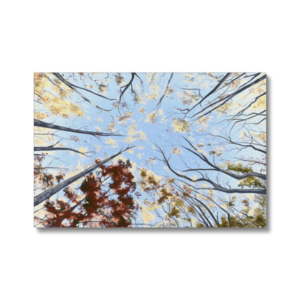 Fall trees painting, canvas art print 