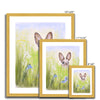 Cute Rabbit and meadow flowers art prints in a gold frame. Different sizes.