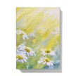 Daisy Flowers in the Sunshine, hardcover journal with daisy flower floral cover design. 