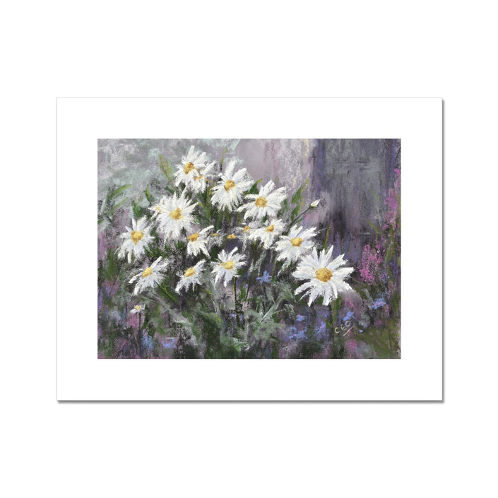 Colourful, modern daisy flowers art print with white border.