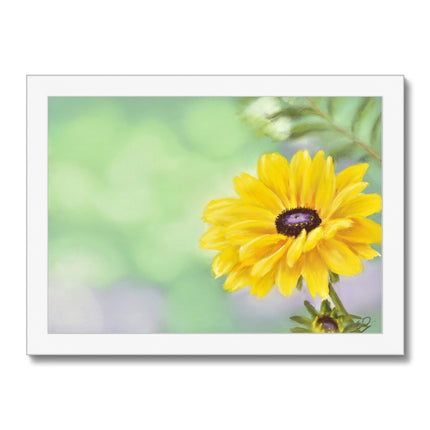 Yellow dahlia daisy flower art print in a white frame. Landscape format