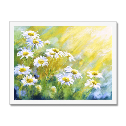 White daisy flowers illuminated by sunshine artwork, fine art print in a white frame.