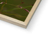 Photographic fine art print with wooden frame. Corner detail.