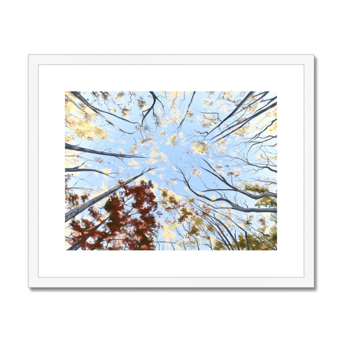 Autumn tree canopy artwork, fine art print in white frame with white mount. 