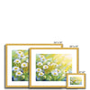 Daisy Flowers in the Sunshine artwork, fine art prints in a gold frame with white mount. Different sizes