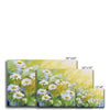 Beautiful white daisy flowers illuminated by the suns rays, art, canvas fine art prints. Different sizes