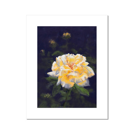 Dramatic yellow rose on dark violet background, artwork fine art print.