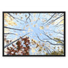 Autumn tree canopy artwork, fine art canvas print in a black picture frame. Ready to hang 