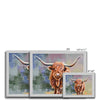 Colourful Highland Cow fine art prints in silver frames. Different sizes