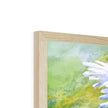 White daisy flowers framed print, close up of top corner detail and natural frame