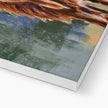 Highland Cow, canvas art print. Close up of bottom corner and white wrap