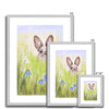 Cute Rabbit in the meadow flowers fine art prints in silver frames with white mount.