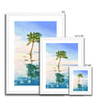 Palm Tree wall art prints. White frame. Different sizes