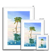 Palm Tree wall art prints. White frame. Different sizes