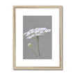 White and grey floral art print in natural light wooden frame with white mount