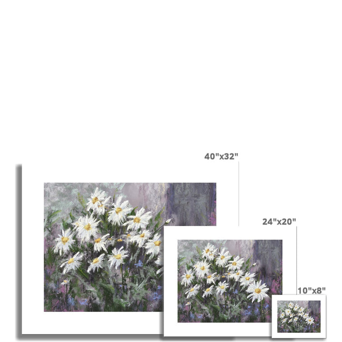 White daisy flowers canvas art prints. Different sizes