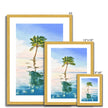 Palm tree wall art prints in gold frame. Different sizes