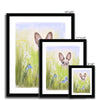 Brown rabbit art. Fine art prints in a black frame.