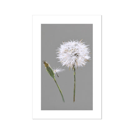 Dandelion seed head and bud artwork, fine art canvas print. Portrait format