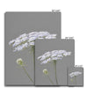 Grey and white floral illustration canvas art prints.