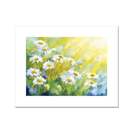 Beautiful White Daisy Flowers floral landscape artwork fine art print