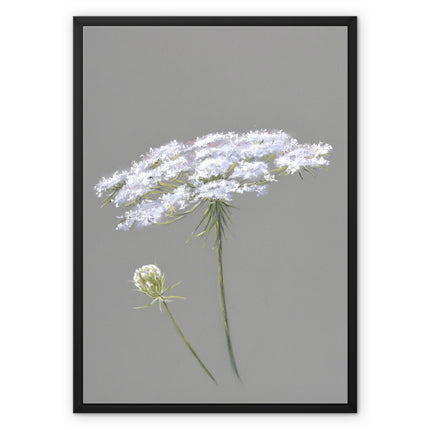 Queen Anne's Lace flower artwork illustration. Grey and white floral canvas print with picture frame. 