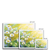 White daisy flowers artwork fine art prints in a white frame. Different sizes