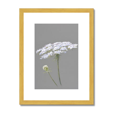 Grey and white botanical illustration print in gold frame