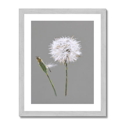 Dandelion Seed art print with white border in silver frame. Portrait format.