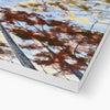 Autumn trees painting, canvas art print. Corner detail showing white wrap 