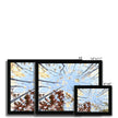 Tree Canopy in Fall, fine art prints in black frame. Landscape orientation. Different sizes.