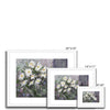 Fashionable white daisy flowers artwork, fine art prints in white frame with white mount. Different sizes