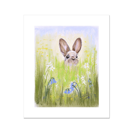 Brown Rabbit peeping over the meadow flowers and grasses artwork. Unframed canvas print with a white border. Unframed 