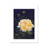 Yellow rose artwork, fine art print 