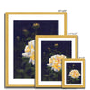 Yellow rose artwork prints in gold frame with white mount. Different sizes