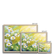 White daisy flowers artwork fine art prints in a natural frame. Different sizes