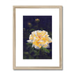 Framed Rose flower fine art print. Wooden frame with white matt