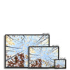 Autumn tree canopy artwork, fine art canvas prints in a black frame. Different sizes.