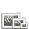 White daisy flower art prints in a silver frame with white mount. Different sizes